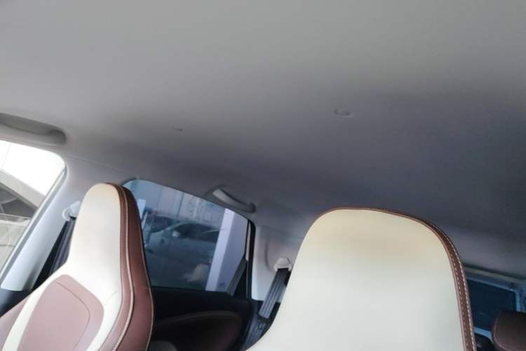 Used Wuling Bingo 2023 333km Enjoy+ Version Headliner