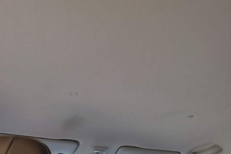 Used Wuling Bingo 2023 203km Comfort Edition Headliner