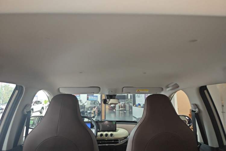 Used Wuling Bingo 2023 203km Comfort Edition Headliner