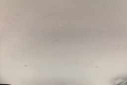 Thumbnail 31