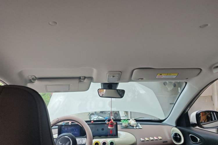 Used Wuling Bingo 2023 203km Comfort Edition Headliner