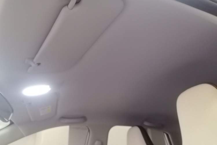 Used Wuling Bingo 2023 203km Comfort Edition Headliner