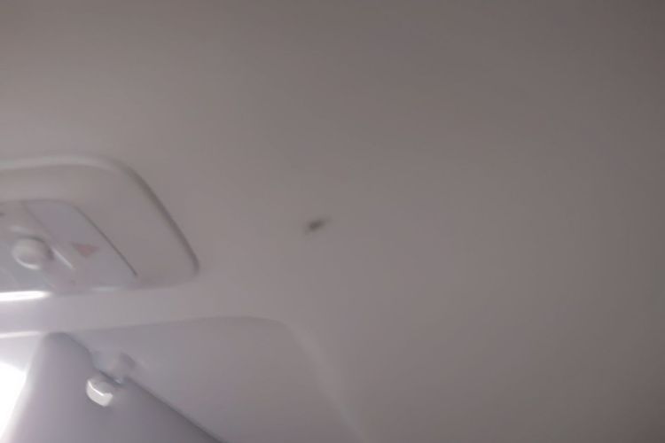 Used Wuling Bingo 2023 203km Comfort Edition Headliner