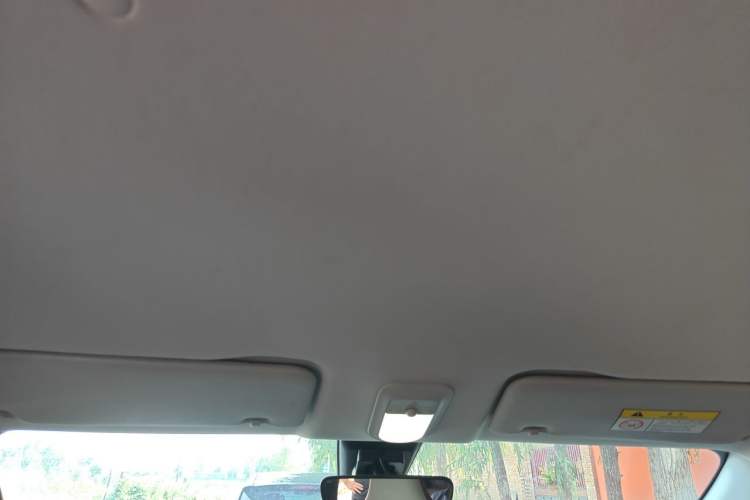 Used Wuling Bingo 2023 203km Comfort Edition Headliner