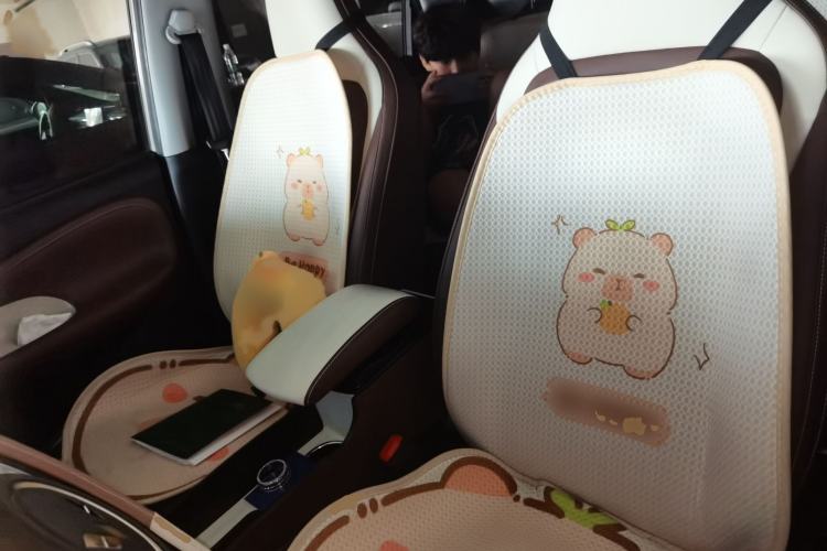 Used Wuling Bingo 2023 410 km Lingxi Deluxe Edition Left Front Seat