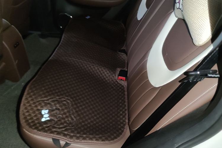 Used Wuling Bingo 2023 203km Comfort Edition Left Rear Seat