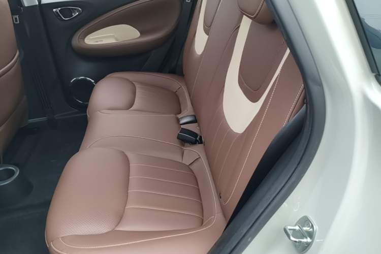 Used Wuling Bingo 2023 333 km Lingxi Connected Version Left Rear Seat