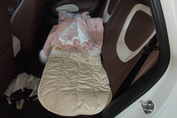 Used Wuling Bingo 2023 410 km Lingxi Deluxe Edition Left Rear Seat