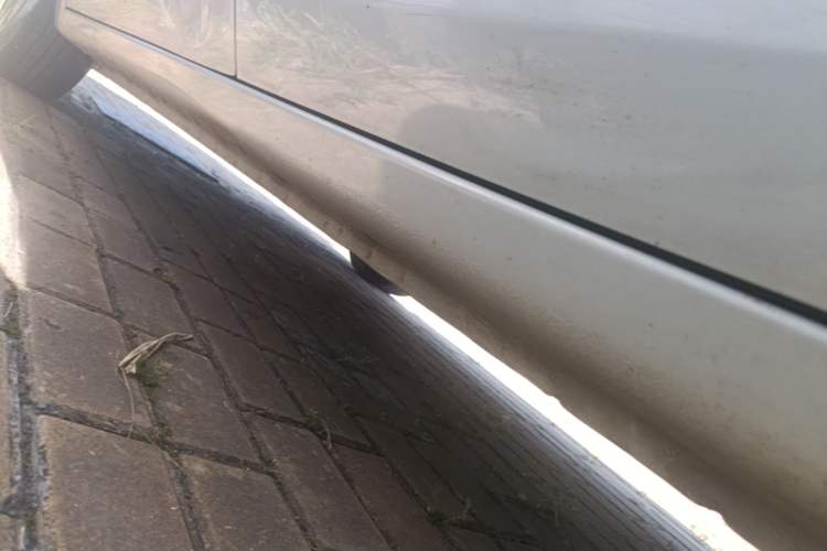 Used Wuling Bingo 2023 410 km Lingxi Deluxe Edition Left Side Sill