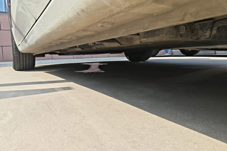 Used Wuling Bingo 2023 333 km Lingxi Connected Version Left Side Sill