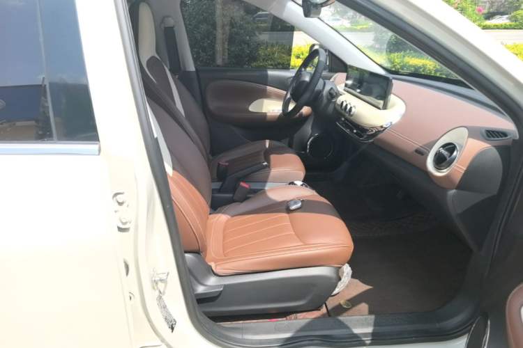 Used Wuling Bingo 2023 203km Comfort Edition Right Front Seat