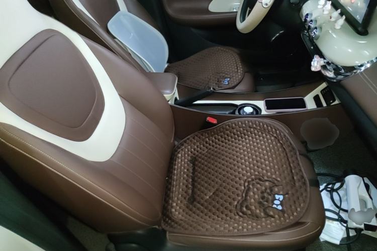 Used Wuling Bingo 2023 203km Comfort Edition Right Front Seat