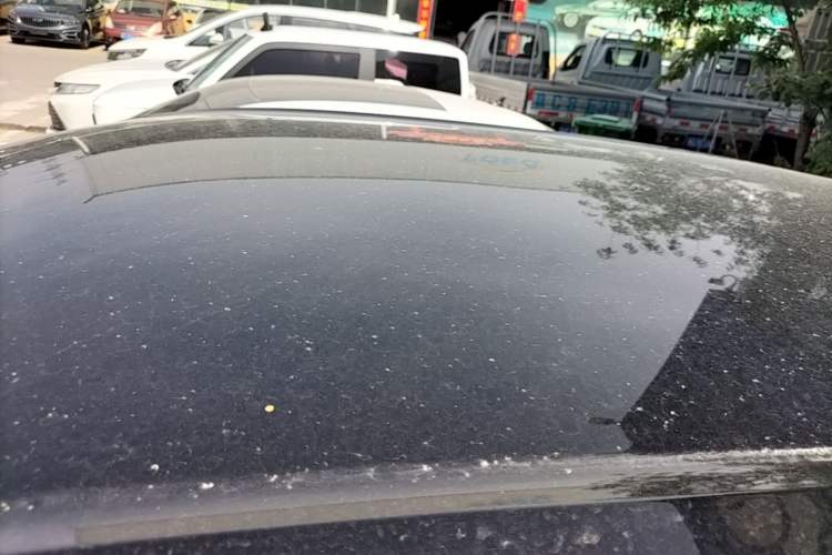 Used Wuling Bingo 2023 333km Enjoy+ Version Roof