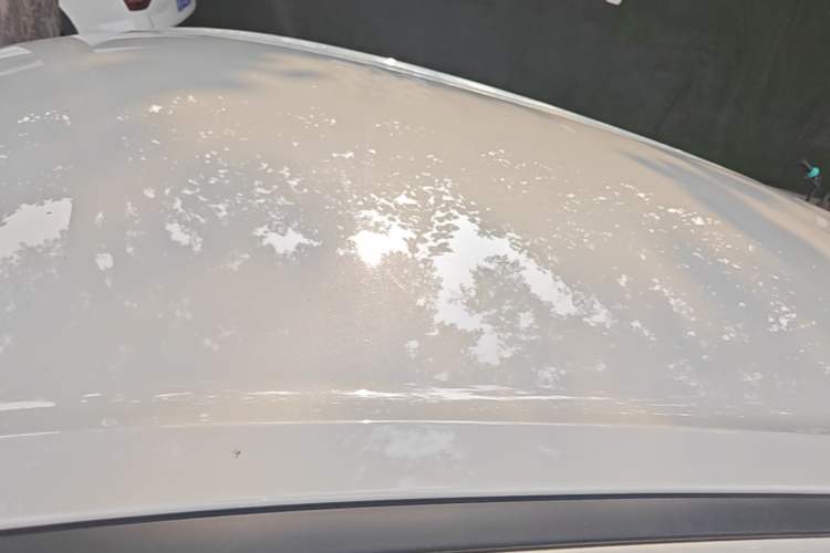 Used Wuling Bingo 2023 203km Light Edition Roof