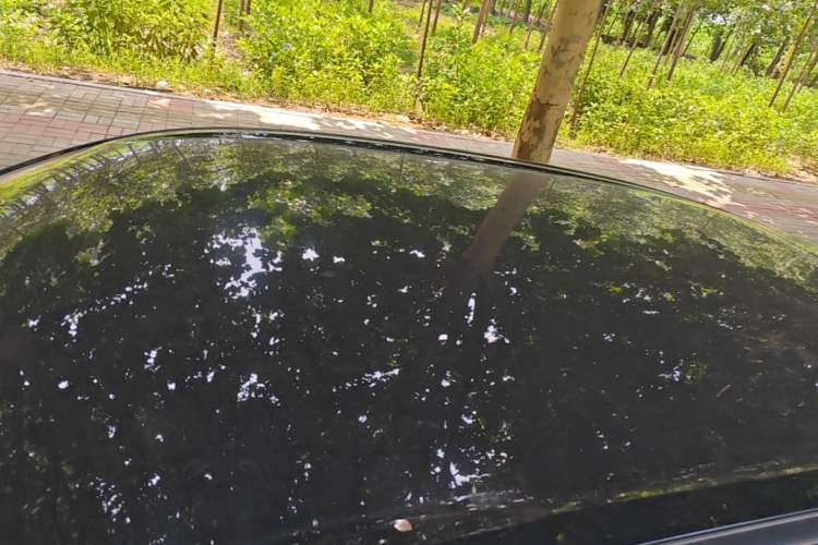 Used Wuling Bingo 2023 333 km Lingxi Connected Version Roof