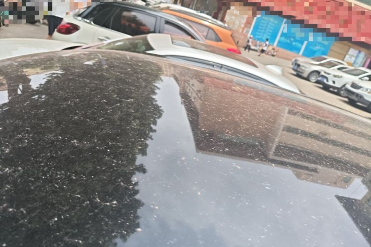 Used Wuling Bingo 2023 333 km Lingxi Connected Version Roof