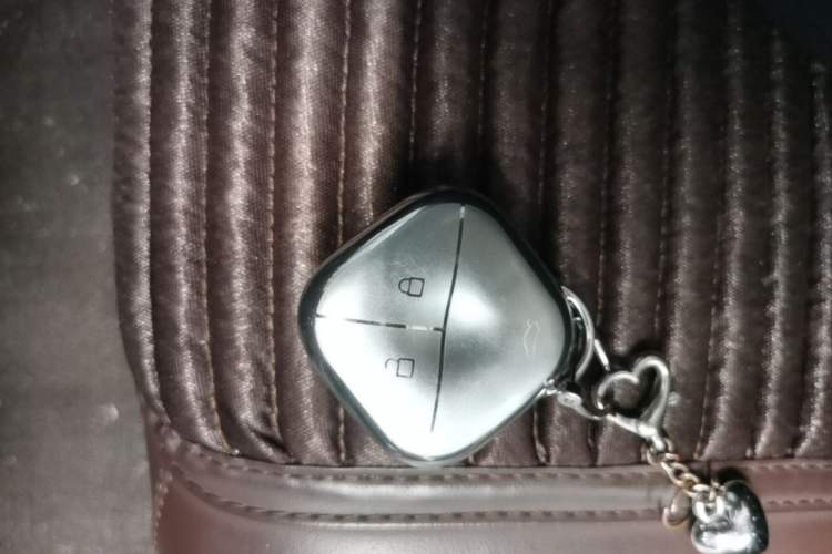 Used Wuling Bingo 2023 203km Comfort Edition Vehicle Key