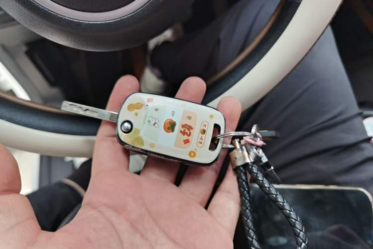 Used Wuling Bingo 2023 203km Light Edition Vehicle Key