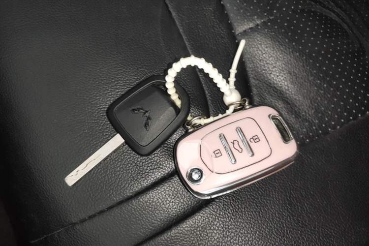 Used Wuling Bingo 2023 203km Light Edition Vehicle Key