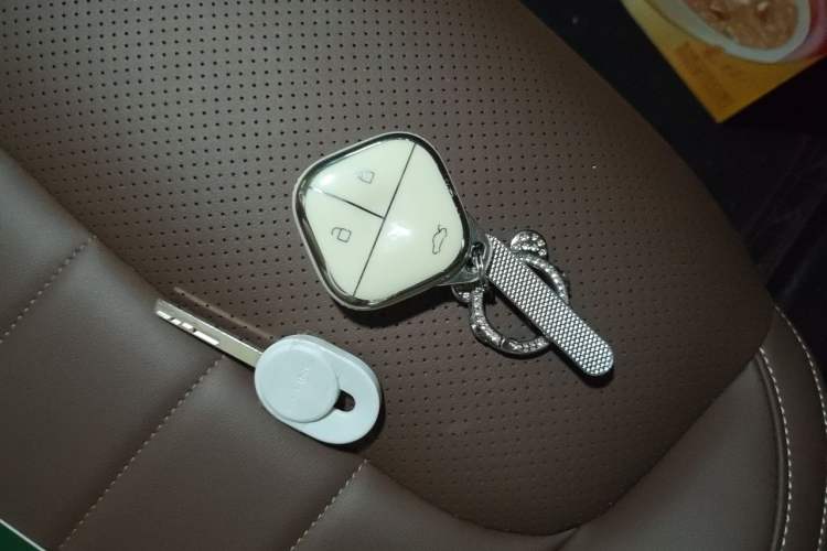 Used Wuling Bingo 2023 333km Enjoy+ Version Vehicle Key