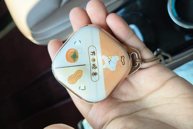 Used Wuling Bingo 2023 333 km Lingxi Connected+ Version Vehicle Key