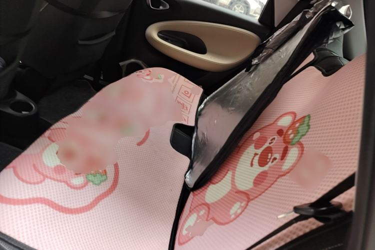 Used Wuling Bingo 2023 333 km Fast-Share Version Left Rear Seat
