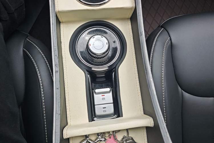 Used Wuling Bingo 2024 333 km Lingxi Connected Version Gear Lever