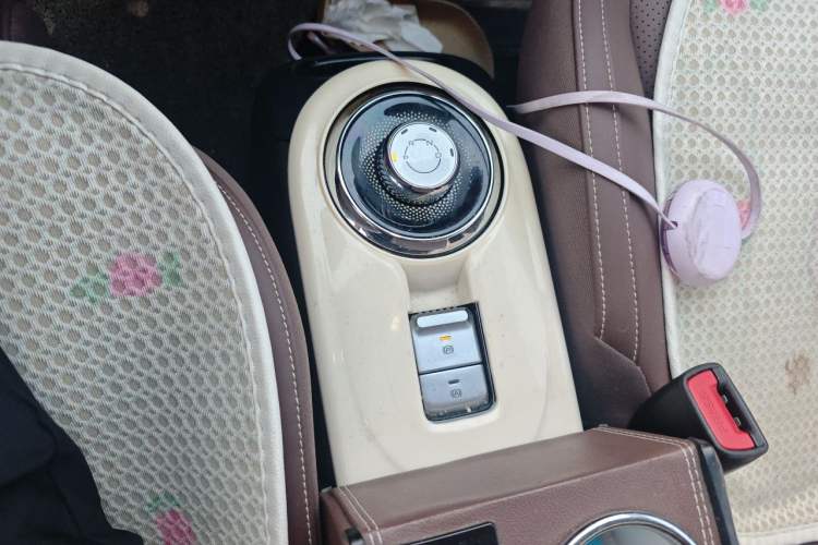 Used Wuling Bingo 2024 333 km Lingxi Connected Version Gear Lever