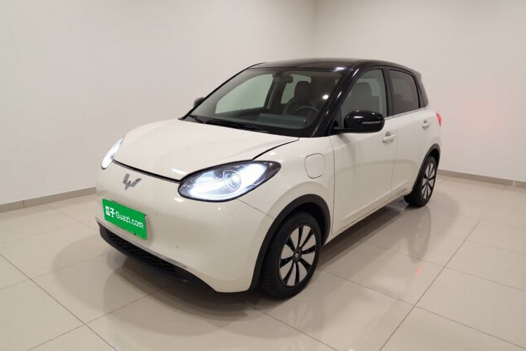 Wuling Bingo 2024 333 km Enjoyment Version