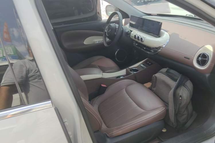 Used Wuling Bingo 2024 333 km Lingxi Connected Version Right Front Seat