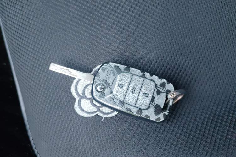 Used Wuling Bingo 2024 203km Light Edition Vehicle Key