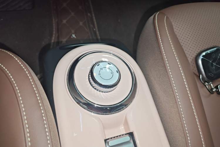 Used Wuling Bingo 2024 333 km Lingxi Connected Version Gear Lever