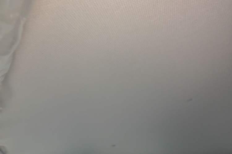 Used Wuling Bingo 2024 203km Light Edition Headliner