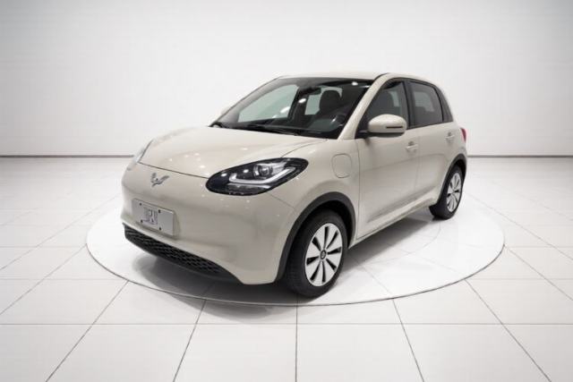Wuling Bingo 2024 203km Light Edition usado