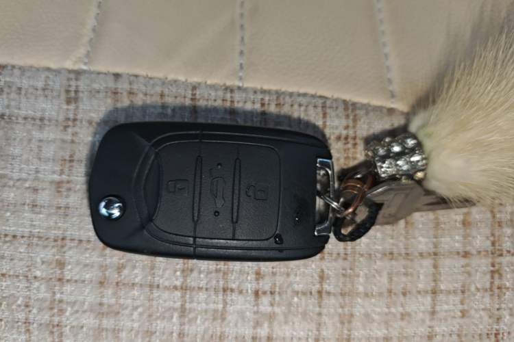 Used Wuling Bingo 2024 203km Light Edition Interior 1