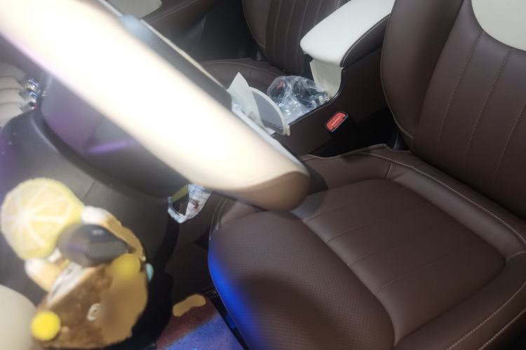 Used Wuling Bingo 2024 410 km Lingxi Deluxe Edition Left Front Seat