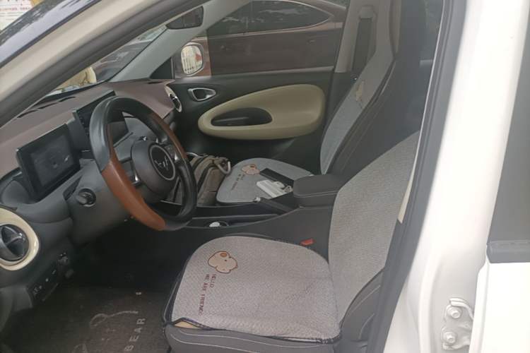 Used Wuling Bingo 2024 203km Light Edition Left Front Seat