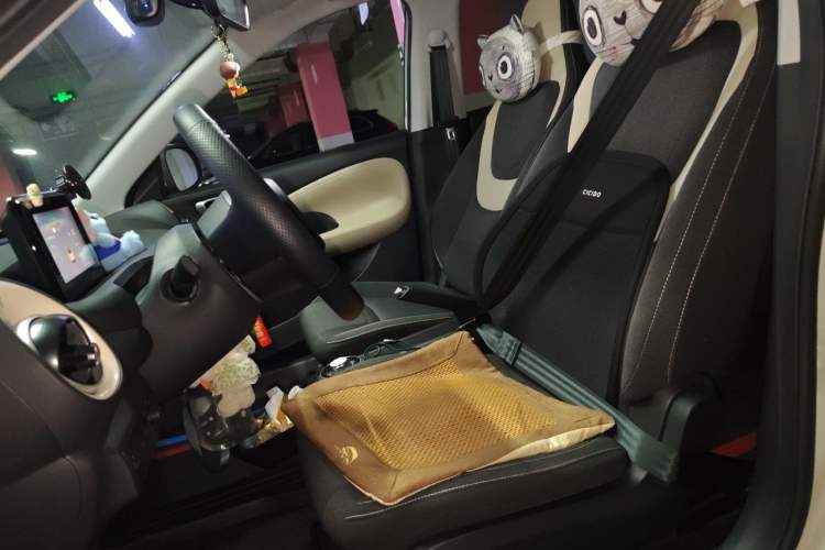 Used Wuling Bingo 2024 203km Light Edition Left Front Seat