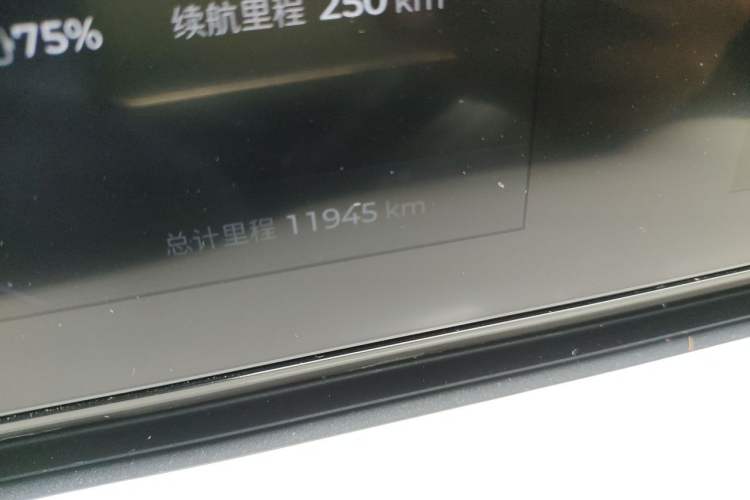 Used Wuling Bingo 2024 333 km Lingxi Connected Version Odometer Close Up