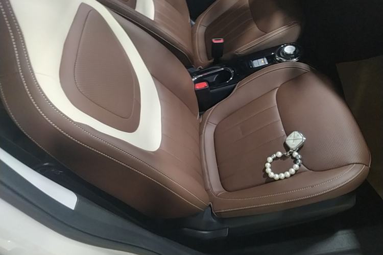 Used Wuling Bingo 2024 333 km Enjoyment Version Right Front Seat