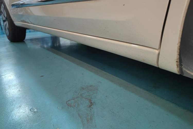 Used Wuling Bingo 2024 333 km Lingxi Connected Version Right Side Sill