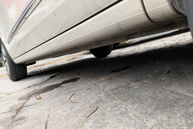 Used Wuling Bingo 2024 333 km Lingxi Connected Version Right Side Sill
