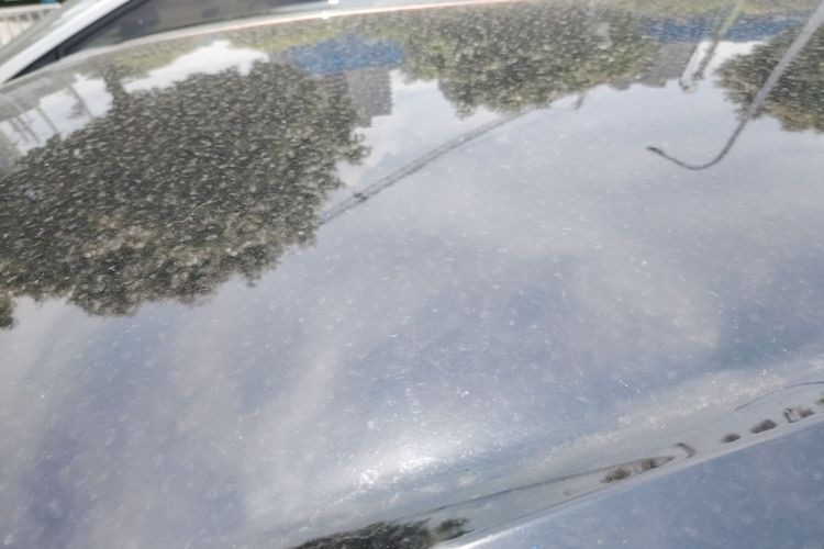 Used Wuling Bingo 2024 333 km Lingxi Connected Version Roof