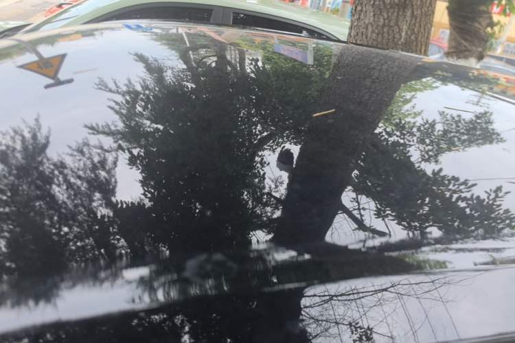 Used Wuling Bingo 2024 203km Light Edition Roof