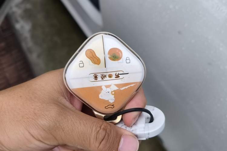 Used Wuling Bingo 2024 333 km Enjoyment Version Vehicle Key