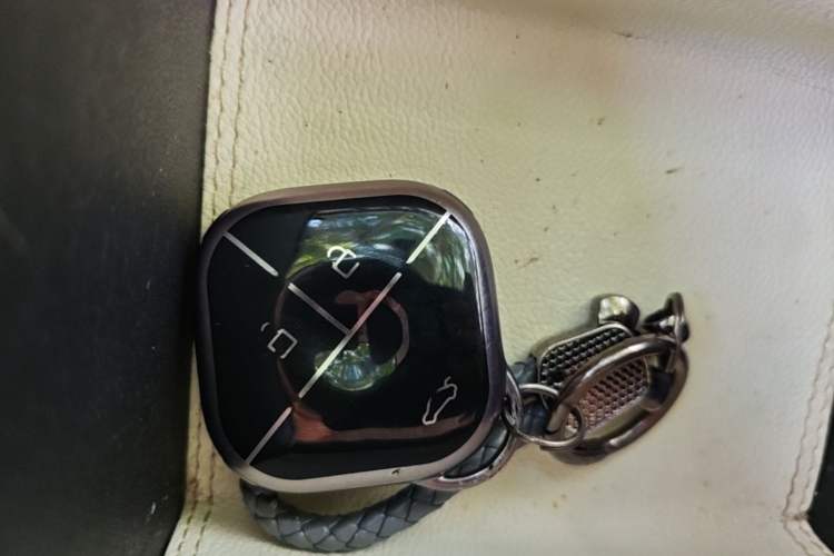 Used Wuling Bingo 2024 333 km Enjoyment Version Vehicle Key
