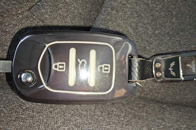 Used Wuling Bingo 2024 203km Light Edition Vehicle Key