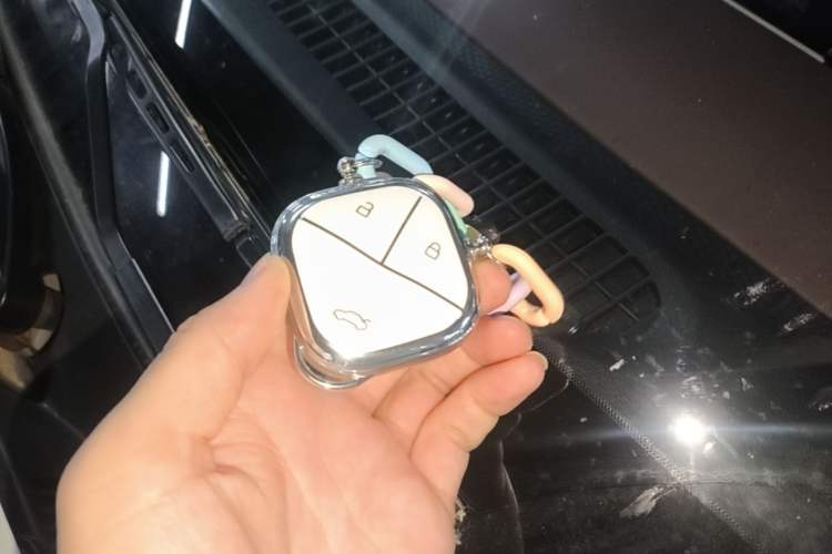 Used Wuling Bingo 2024 333 km Enjoyment Version Vehicle Key