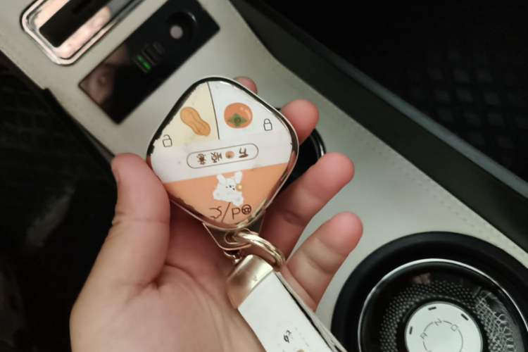 Used Wuling Bingo 2024 333 km Lingxi Connected Version Vehicle Key