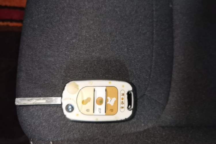 Used Wuling Bingo 2024 203km Light Edition Vehicle Key